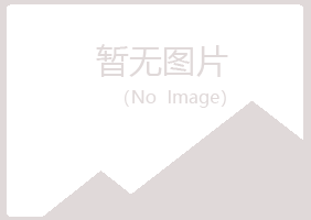 镇赉县夏岚造纸有限公司